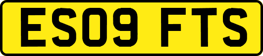 ES09FTS