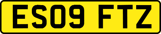 ES09FTZ