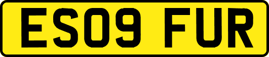 ES09FUR