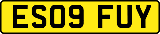 ES09FUY