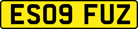 ES09FUZ