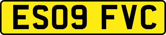 ES09FVC