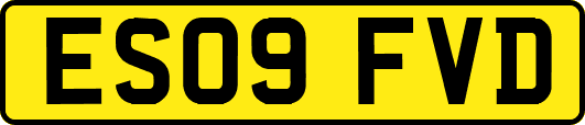 ES09FVD