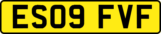 ES09FVF