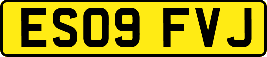 ES09FVJ
