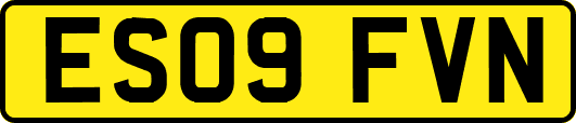 ES09FVN