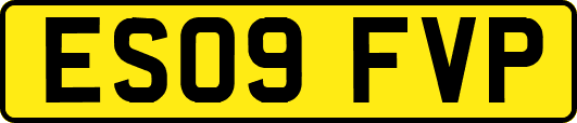 ES09FVP