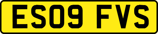 ES09FVS
