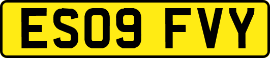 ES09FVY