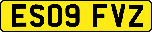 ES09FVZ
