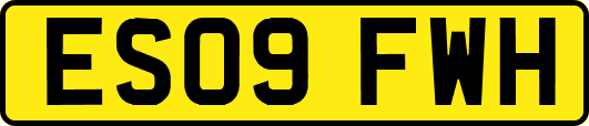 ES09FWH