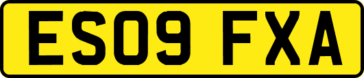 ES09FXA
