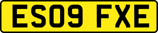 ES09FXE