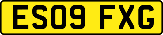 ES09FXG