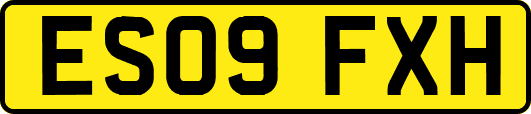 ES09FXH