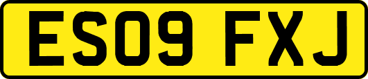 ES09FXJ