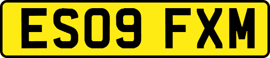 ES09FXM