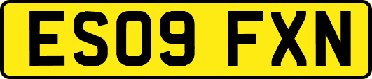 ES09FXN