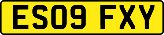 ES09FXY