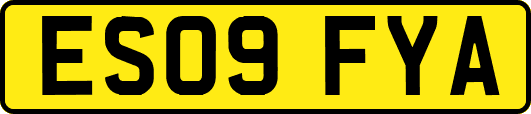 ES09FYA