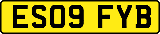 ES09FYB