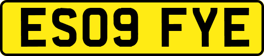 ES09FYE