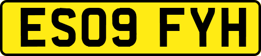 ES09FYH