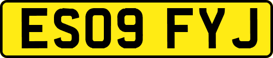 ES09FYJ