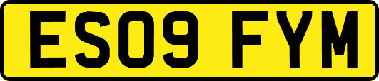 ES09FYM
