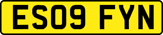 ES09FYN