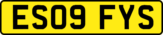 ES09FYS