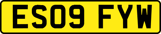ES09FYW