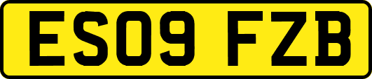 ES09FZB