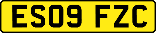 ES09FZC