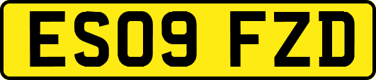 ES09FZD
