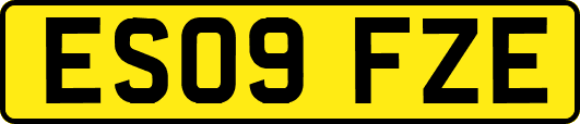 ES09FZE