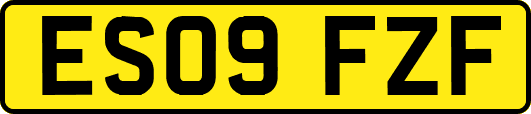 ES09FZF