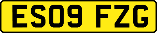 ES09FZG