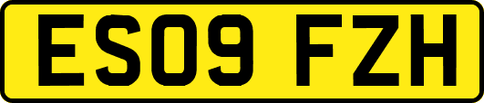 ES09FZH