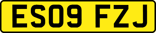 ES09FZJ