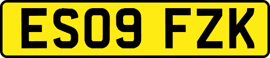 ES09FZK