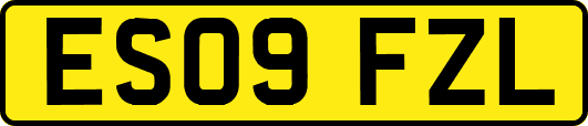 ES09FZL