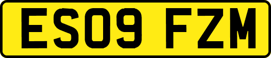 ES09FZM