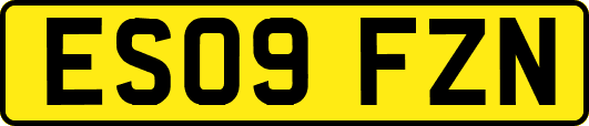 ES09FZN
