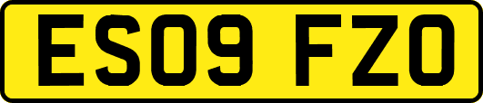 ES09FZO