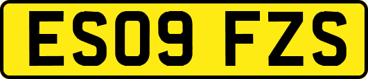 ES09FZS