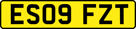 ES09FZT