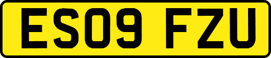 ES09FZU