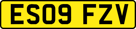 ES09FZV
