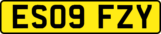 ES09FZY